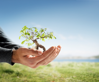 environnement