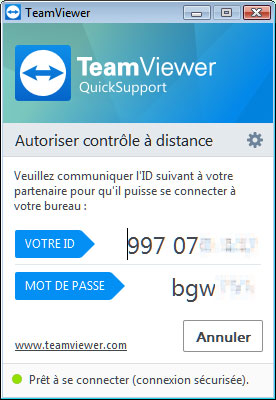 teamviewer support 1