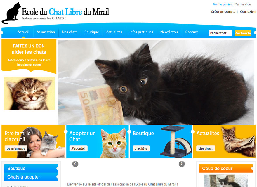 Création site internet pour association d'aides aux chats